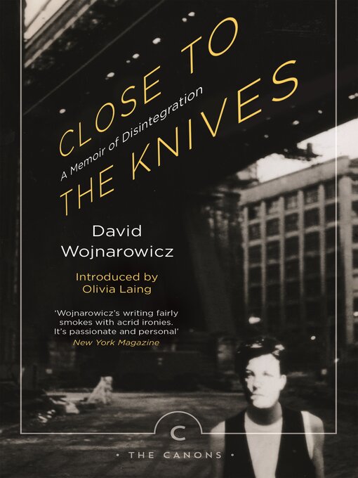 Title details for Close to the Knives by David Wojnarowicz - Available